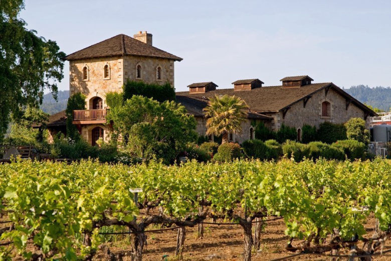 Cooking with Wine: Elevating Your Dishes with Flavorful Simplicity