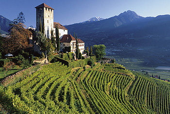 Cover for Sauntering Through Italy's Wine Country